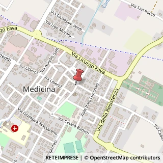 Mappa Via G. Mazzini, 18, 40059 Medicina, Bologna (Emilia Romagna)