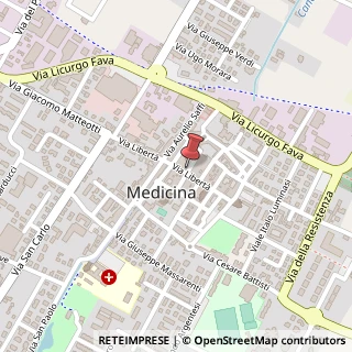 Mappa Via Cavallotti, 23, 40059 Medicina, Bologna (Emilia Romagna)