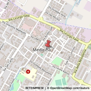 Mappa Via Pillio, 1, 40059 Medicina, Bologna (Emilia Romagna)