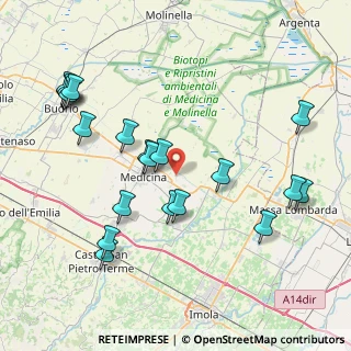 Mappa Via Bottrigara, 40059 Medicina BO, Italia (9.093)