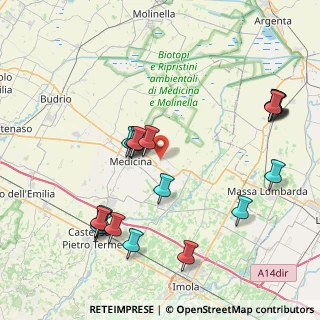 Mappa Via Bottrigara, 40059 Medicina BO, Italia (9.3065)