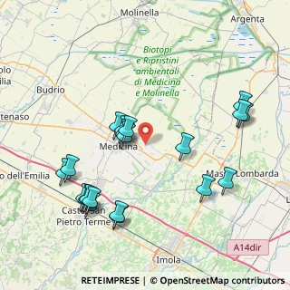 Mappa Via Bottrigara, 40059 Medicina BO, Italia (8.7555)