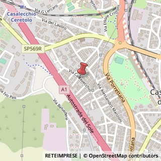 Mappa Via Calzavecchio, 45, 40033 Casalecchio di Reno, Bologna (Emilia Romagna)