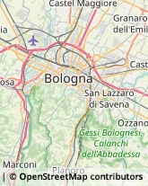 Pelletterie - Ingrosso e Produzione Pianoro,40065Bologna