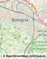 Pelletterie - Ingrosso e Produzione Pianoro,40065Bologna