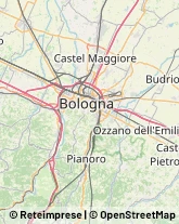 Pelletterie - Ingrosso e Produzione Bologna,40124Bologna