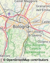 Angiologia - Medici Specialisti Bologna,40127Bologna