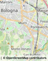 Angiologia - Medici Specialisti Bologna,40141Bologna