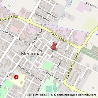 Mappa Via G. Mazzini, 10, 40059 Medicina, Bologna (Emilia Romagna)