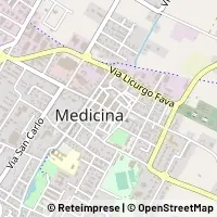 خريطة Medicina
