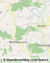 Ristoranti Monesiglio,12077Cuneo