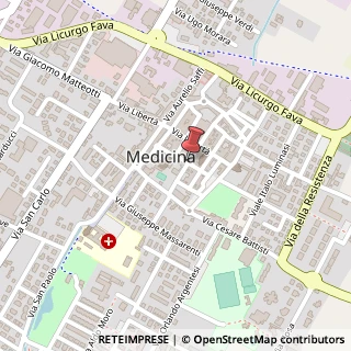 Mappa Via cuscini 40, 40059 Medicina, Bologna (Emilia Romagna)