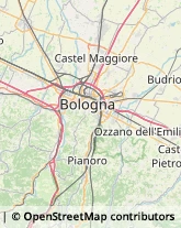 Frutta e Verdura - Dettaglio Bologna,40135Bologna