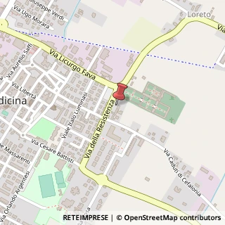 Mappa Via della Resistenza, 307, 40059 Medicina, Bologna (Emilia Romagna)
