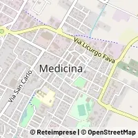 Map Medicina