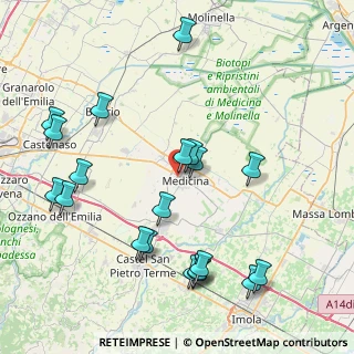 Mappa Via Maestri del Lavoro, 40059 Medicina BO, Italia (9.431)