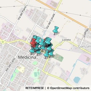 Mappa Via Barletta, 40059 Medicina BO, Italia (0.20345)
