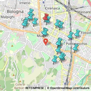 Mappa Via Siepelunga, 40137 Bologna BO, Italia (1.0305)