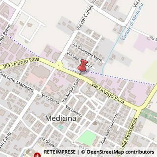Mappa Via Licurgo Fava, 421, 40059 Medicina, Bologna (Emilia Romagna)