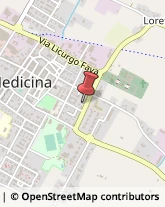 Via Resistenza, 178,40059Medicina