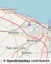 Agenzie Immobiliari Palo del Colle,70027Bari