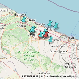 Mappa Via Luigi Galvani, 70037 Ruvo di Puglia BA, Italia (8.67538)