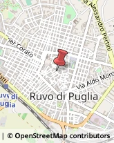 Via Le Monache, 6,70037Ruvo di Puglia