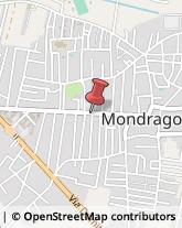 Viale Margherita, 75,81034Mondragone