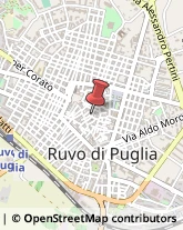 Via Le Monache, 8,70037Ruvo di Puglia