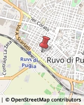 Via Solferino, 10,70037Ruvo di Puglia