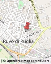 Via Saverio De Palo, 28,70037Ruvo di Puglia