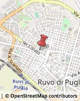 Via Giuseppe Garibaldi, 9,70037Ruvo di Puglia