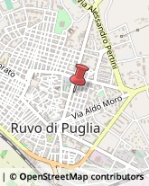 Via D. Cirillo, 45/47,70037Ruvo di Puglia