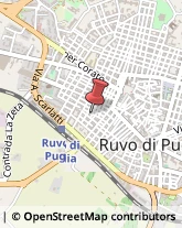 Via De Iodero, 19-21,70037Ruvo di Puglia