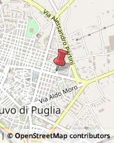 Via Senatore Iannuzzi Onofrio, 13,70037Ruvo di Puglia