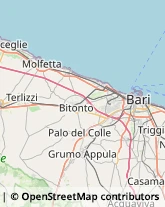 Ambulatori e Consultori Terlizzi,70038Bari