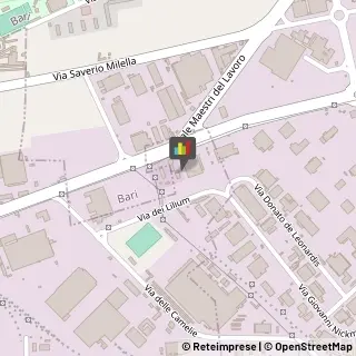 Stazioni di Servizio e Distribuzione Carburanti,70026Bari