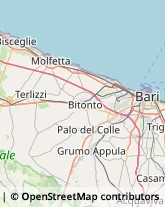 Trasporti Internazionali Triggiano,70019Bari