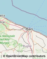 Musei e Pinacoteche Bari,70122Bari