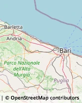 Riproduzione Disegni - Servizio Andria,76123Barletta-Andria-Trani