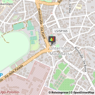 Frutta e Verdura - Dettaglio,39012Bolzano