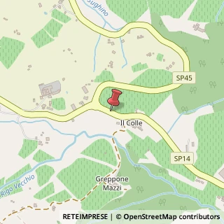 Mappa Localita' IL Pino, 53024 Montalcino, Siena (Toscana)