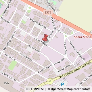 Mappa Via dei Platani, 22/24, 06083 Bastia Umbra, Perugia (Umbria)