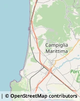 Agenti e Rappresentanti di Commercio Campiglia Marittima,57021Livorno