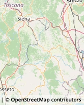 Assicurazioni Pienza,53026Siena