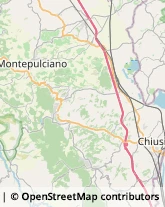 Assicurazioni Montepulciano,53045Siena