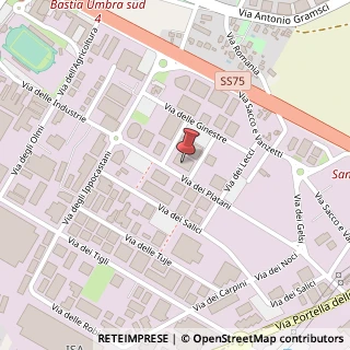 Mappa Via dei Platani, 22, 06083 Bastia Umbra, Perugia (Umbria)
