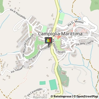 Consulenza Commerciale Campiglia Marittima,57021Livorno