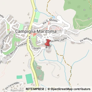 Mappa Via di Ribellino, 2, 57021 Campiglia Marittima, Livorno (Toscana)