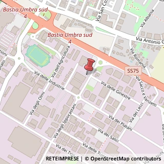 Mappa Via delle Robinie, 1, 06083 Città di Castello, Perugia (Umbria)